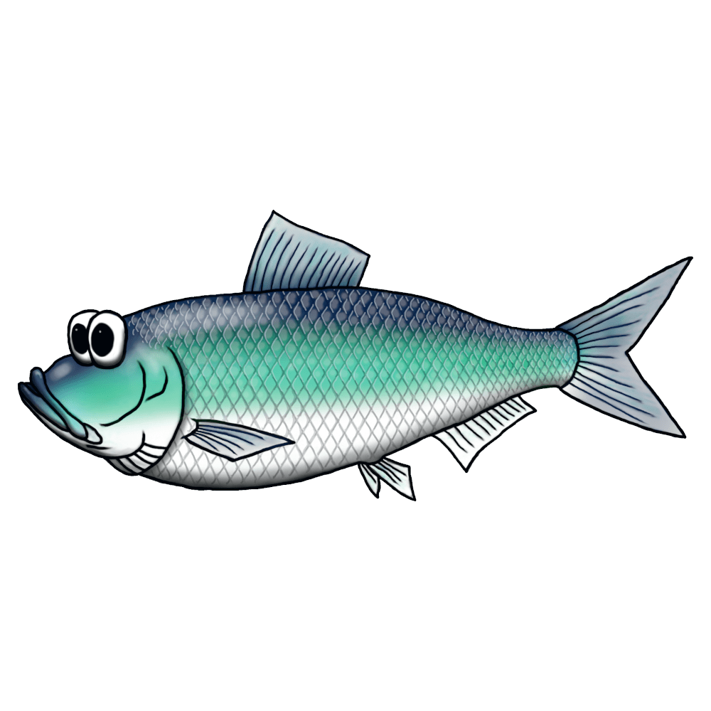 Herring - Trucker Cap