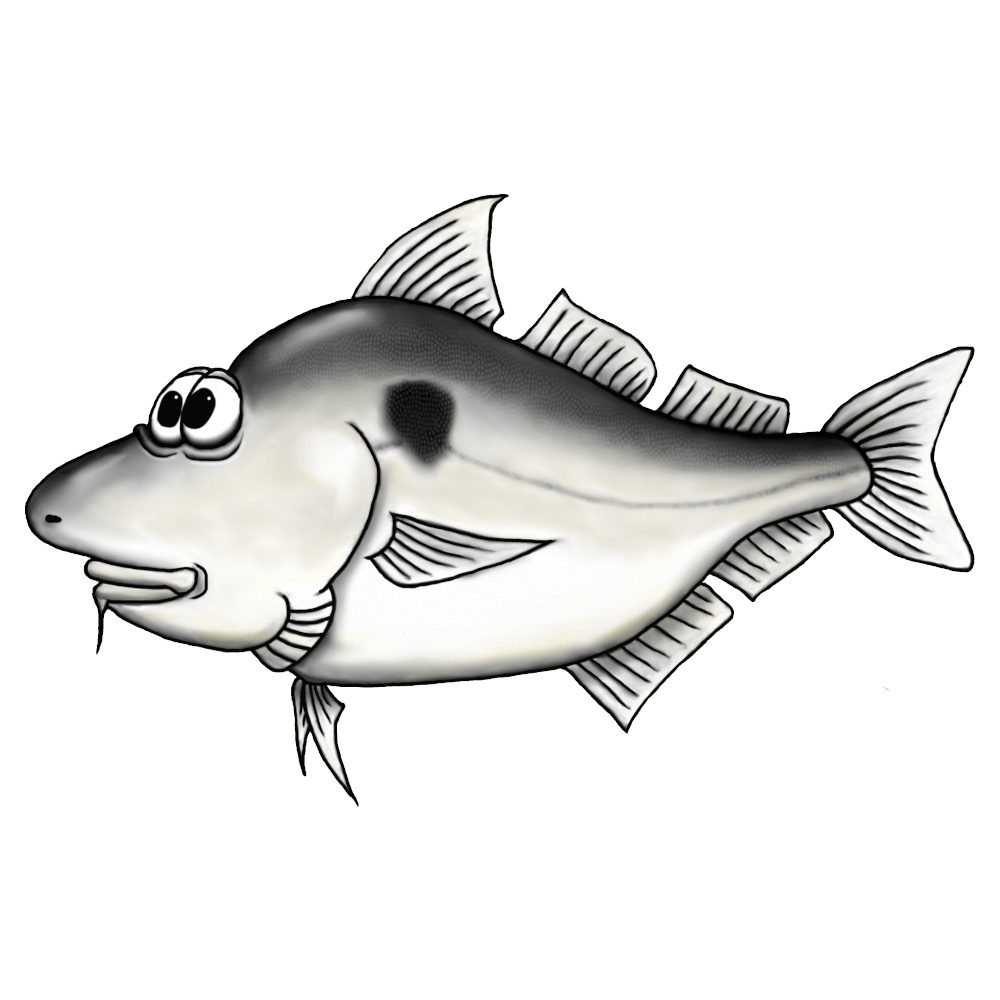 Schellfisch - Panoramatasse