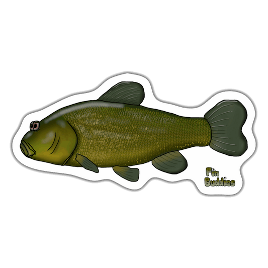 Schleie - Sticker - Mattweiß